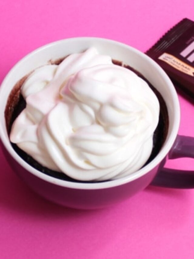 TRIPLE HERSHEY'S CHOCOLATE MUG CAKE STORY