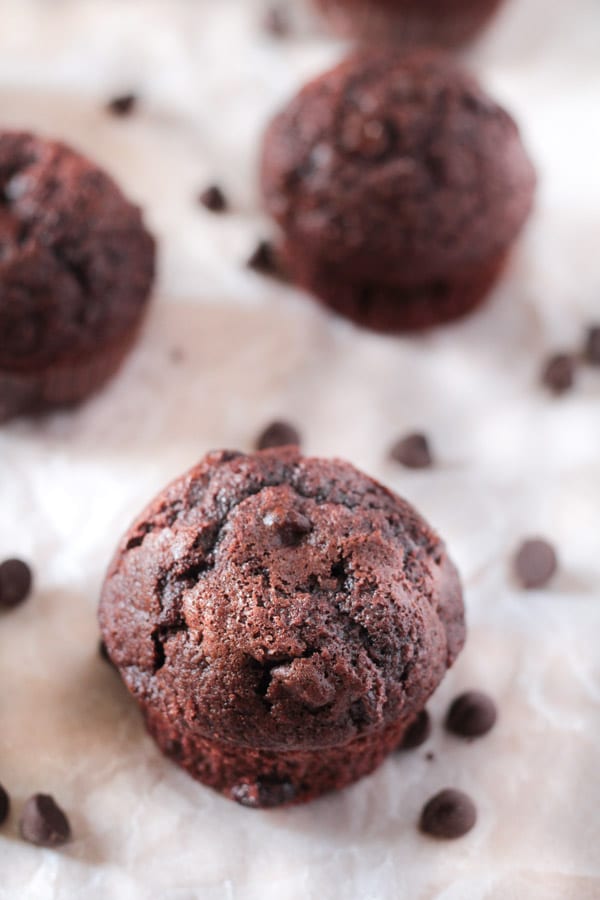 No Mixer Double Chocolate Muffins