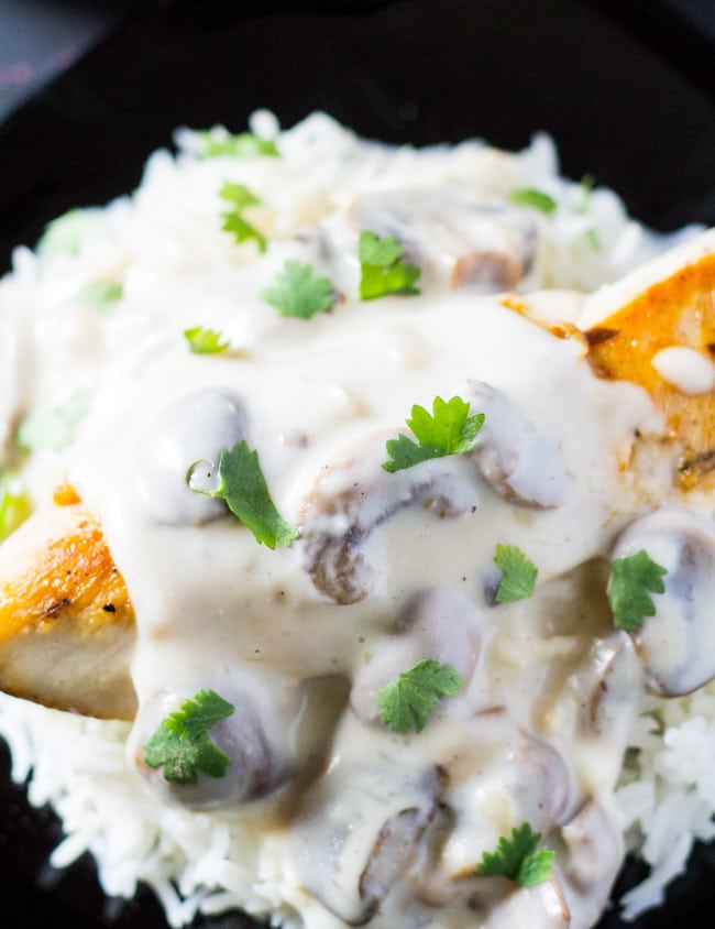 Grilled Chicken in Creamy Mushroom Sauce | I Knead to Eat