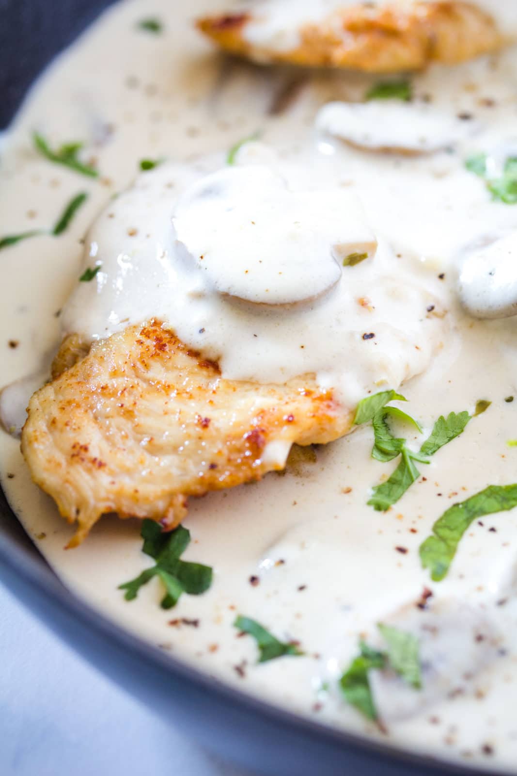 close up shot of a pan grilled chicken breast covered in a creamy mushroom sauce