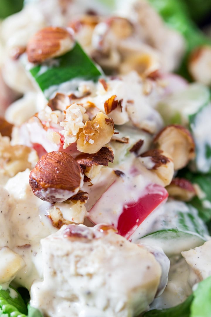 Creamy Chicken Hazelnut Salad