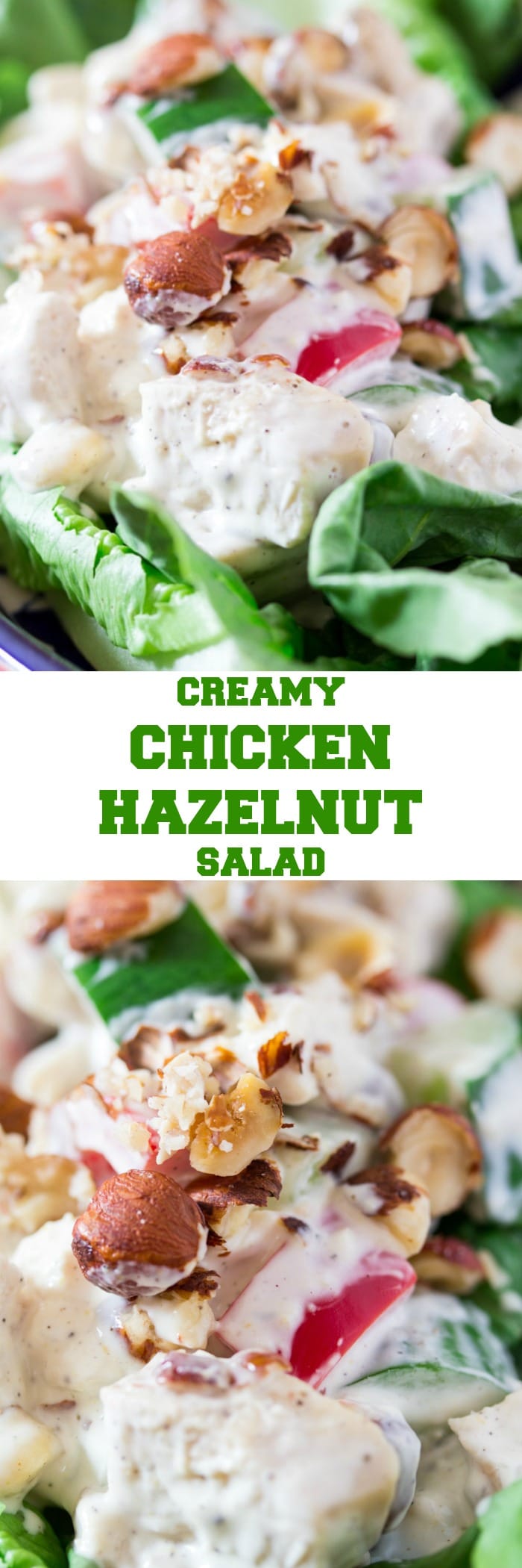 Creamy Chicken Hazelnut Salad