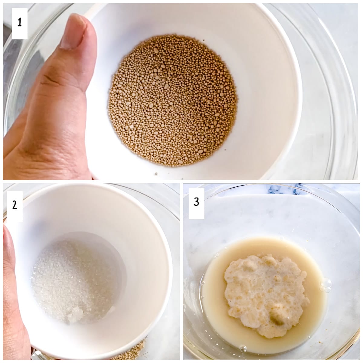 How to proof yeast. 