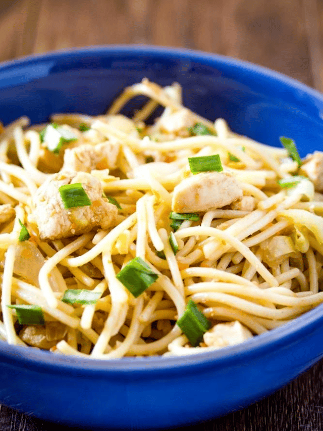 INDO-CHINESE CHICKEN HAKKA NOODLES STORY